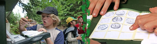 La fièvre du tampon