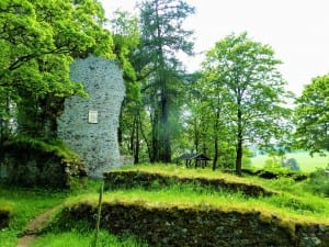 Castle ruins in the forest with green nature
