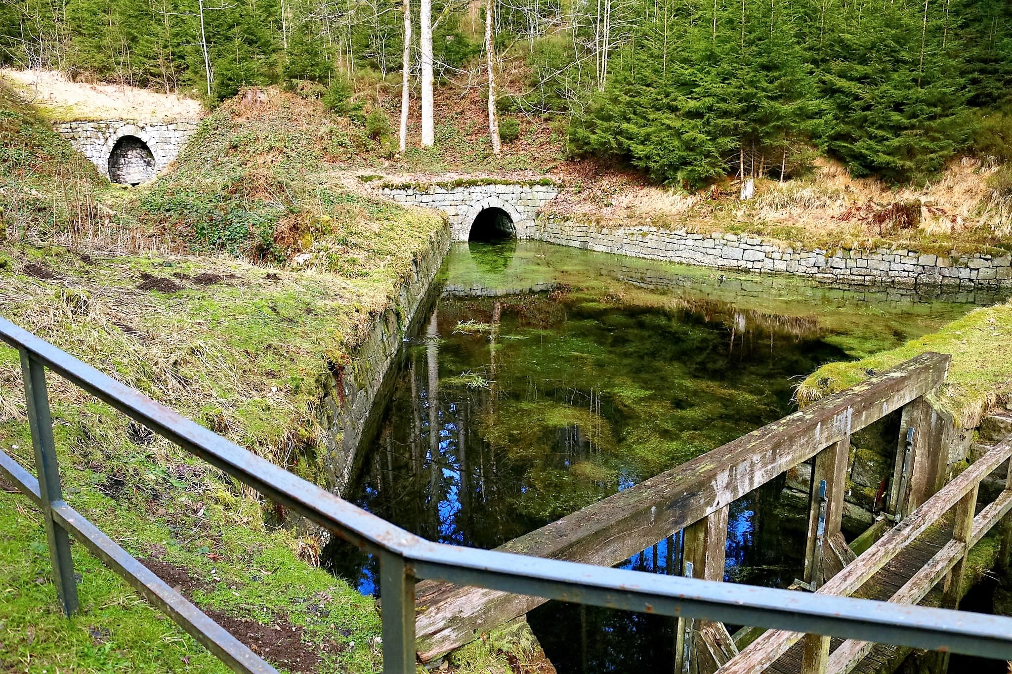 Historischer Tunnel mit Wassergraben im Wald