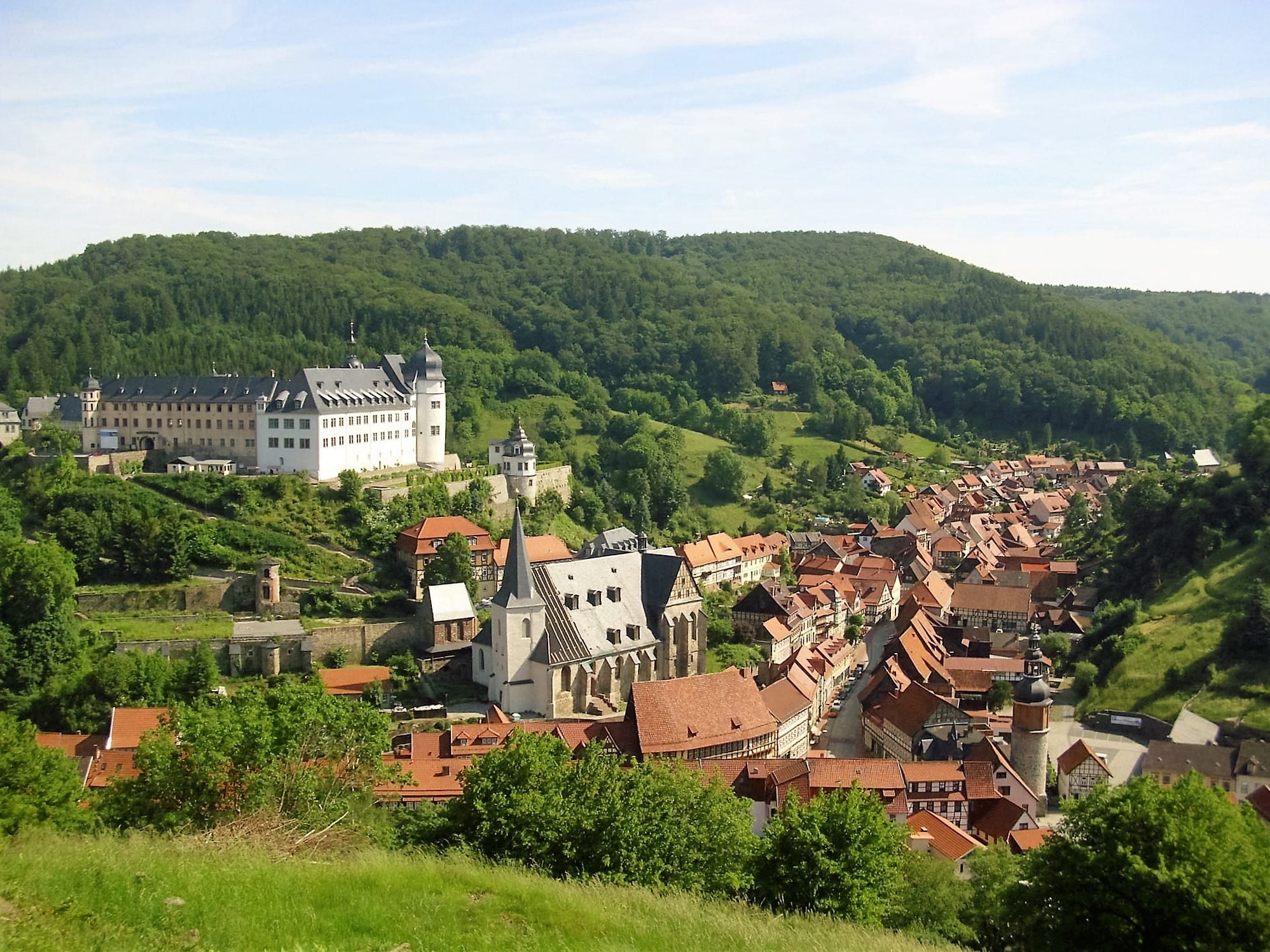 Malerische Altstadt mit Schloss und grünen Hügeln