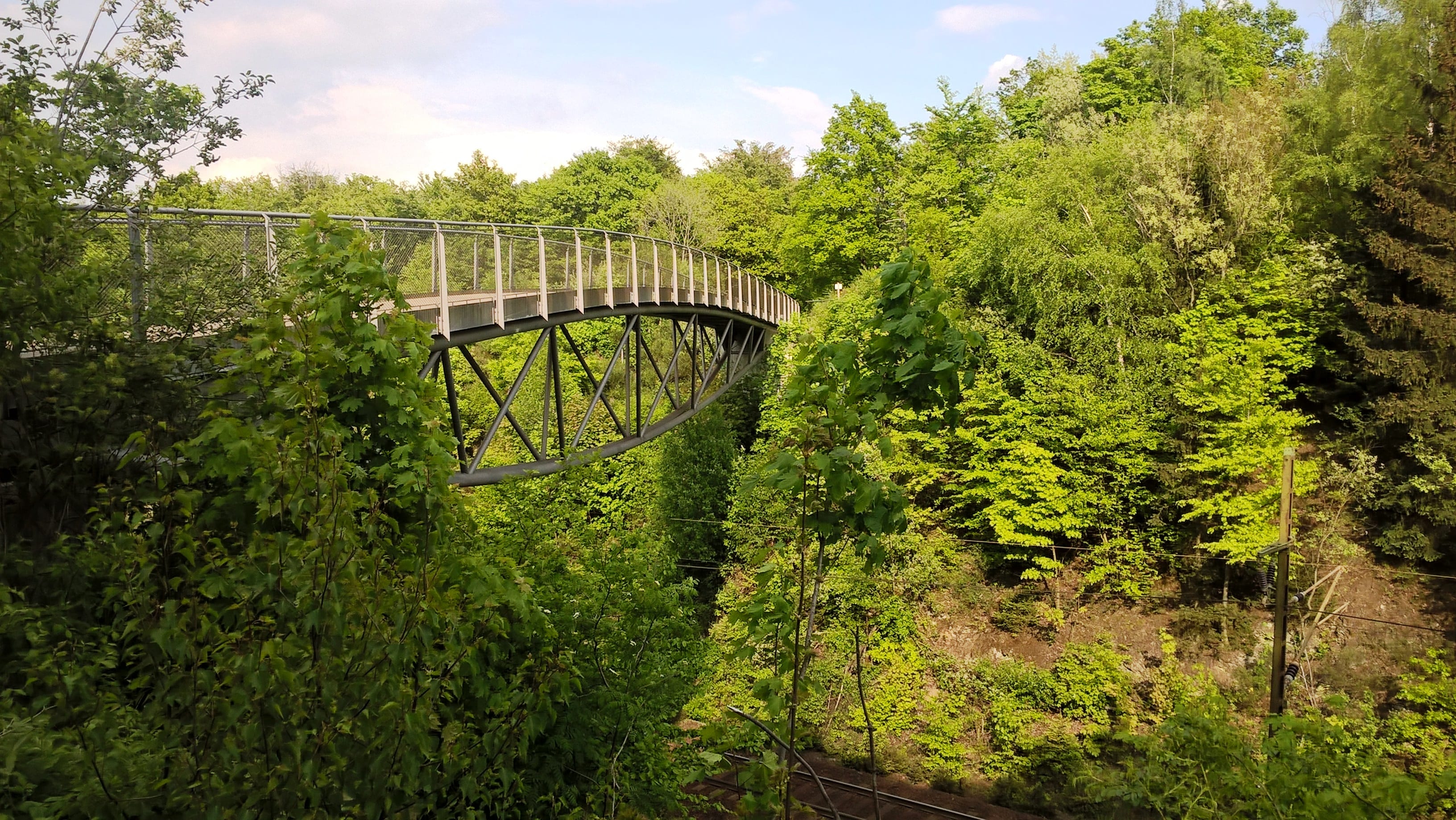 Fußgängerbrücke über grüne Waldlandschaft