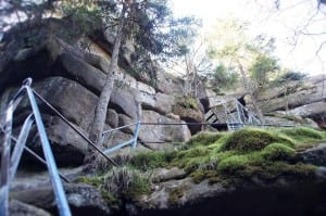Felsentreppe im Wald mit Moos und Geländer