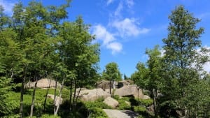 Groene bomen en rotsen onder een blauwe hemel