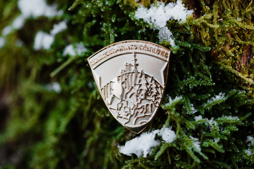 Harzer Wandernadel badge in goud in mos met sneeuw