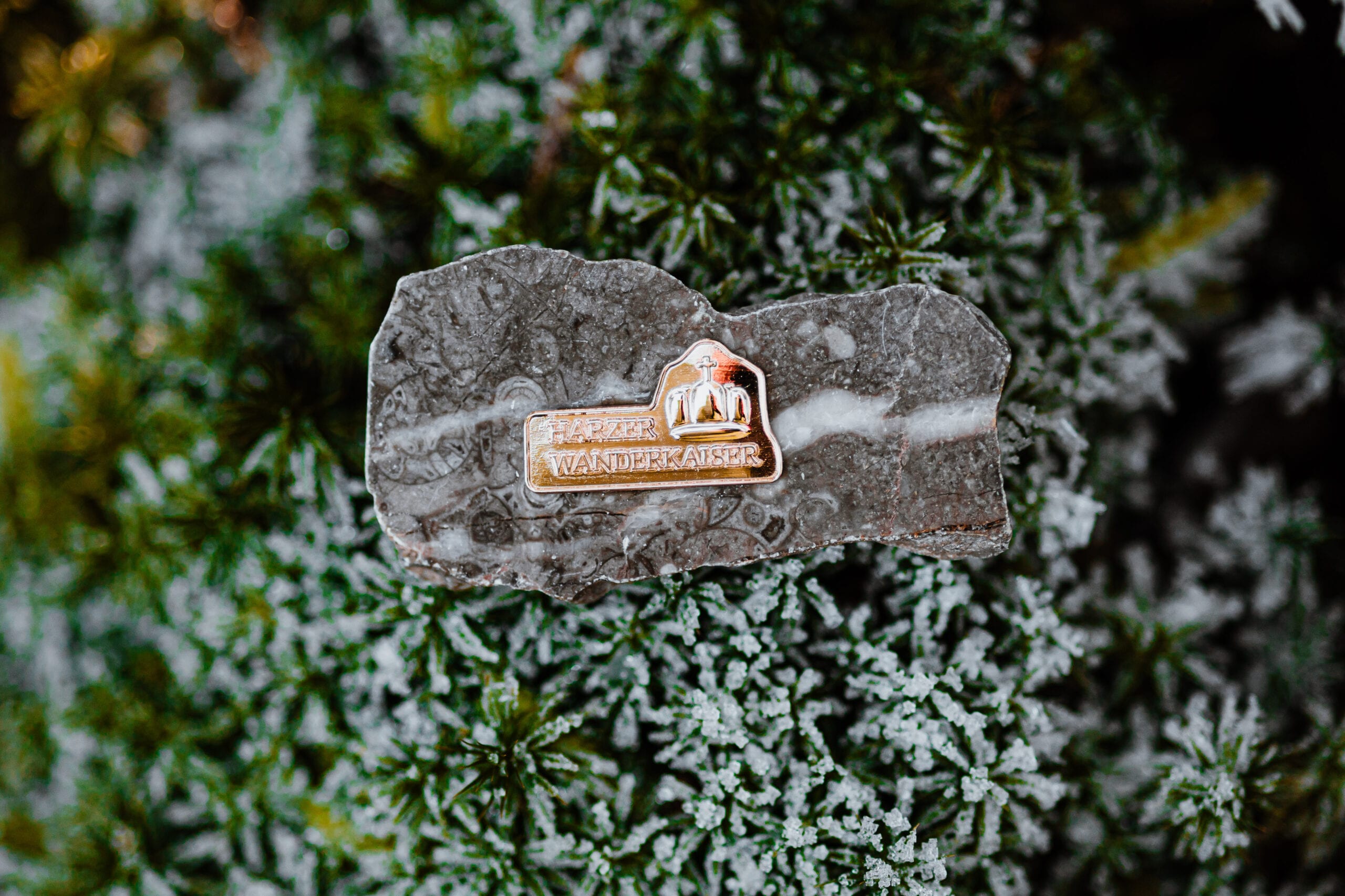 Rugzak met kleurrijke Harz wandel speldjes