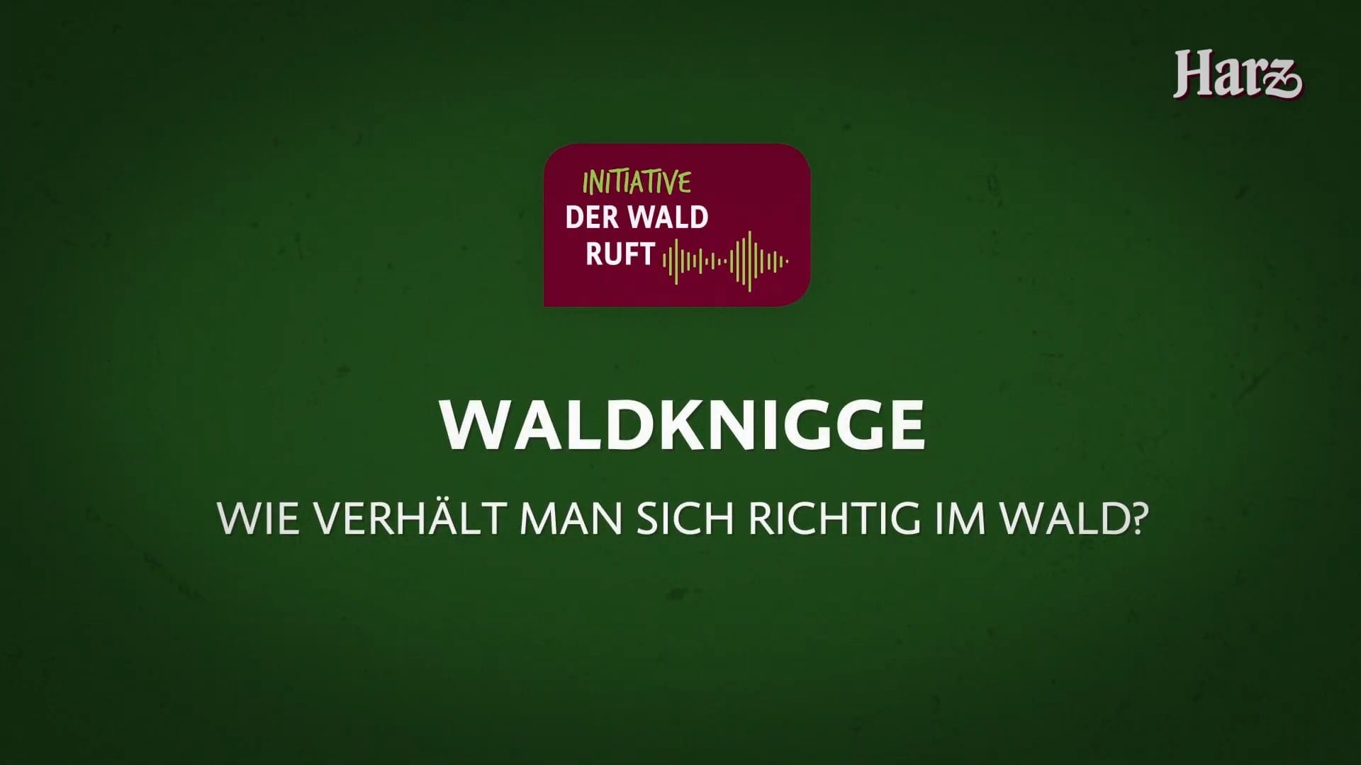 Waldknigge: Verhalten im Wald lernen