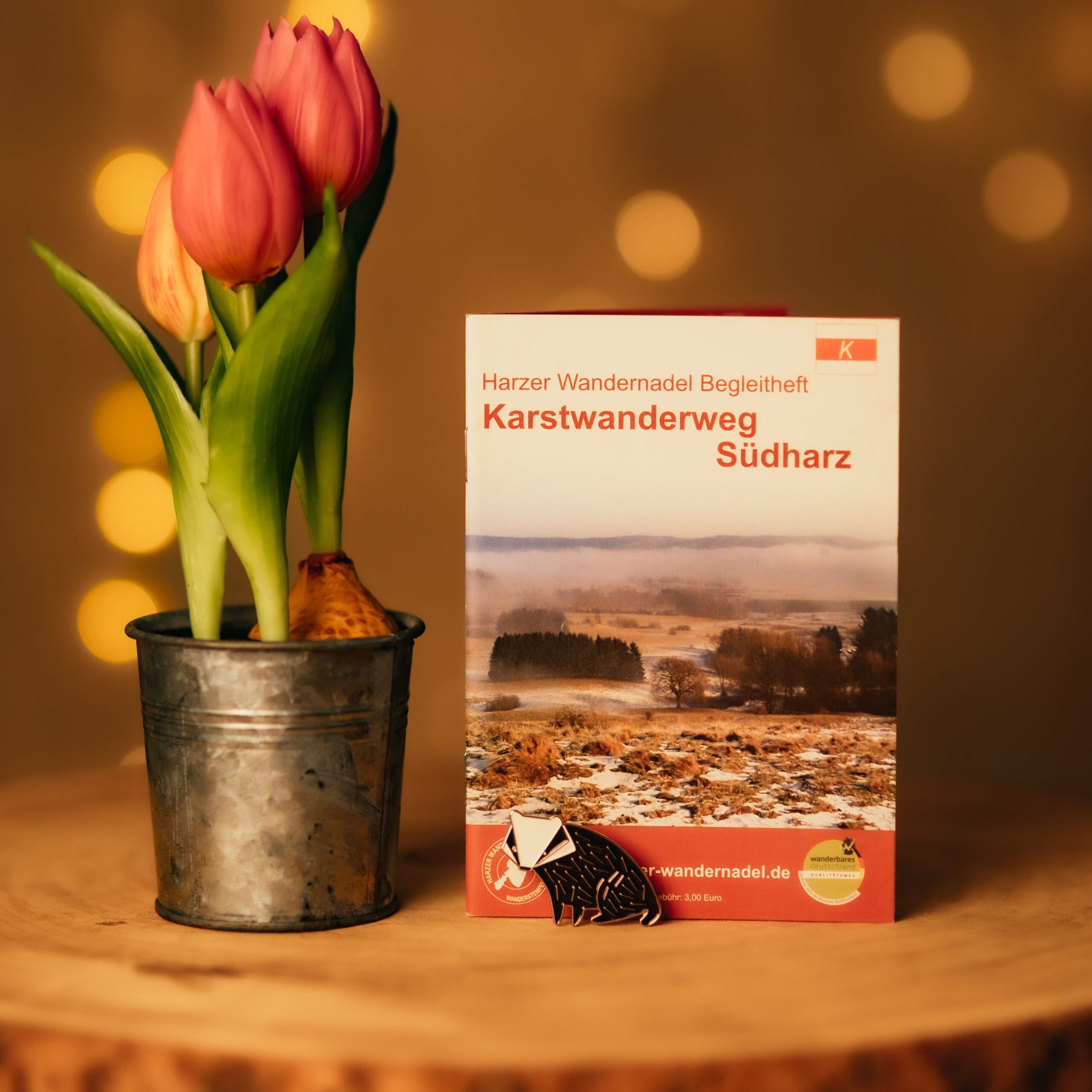 Tulpen en wandelboekje Karstwanderweg Südharz op tafel
