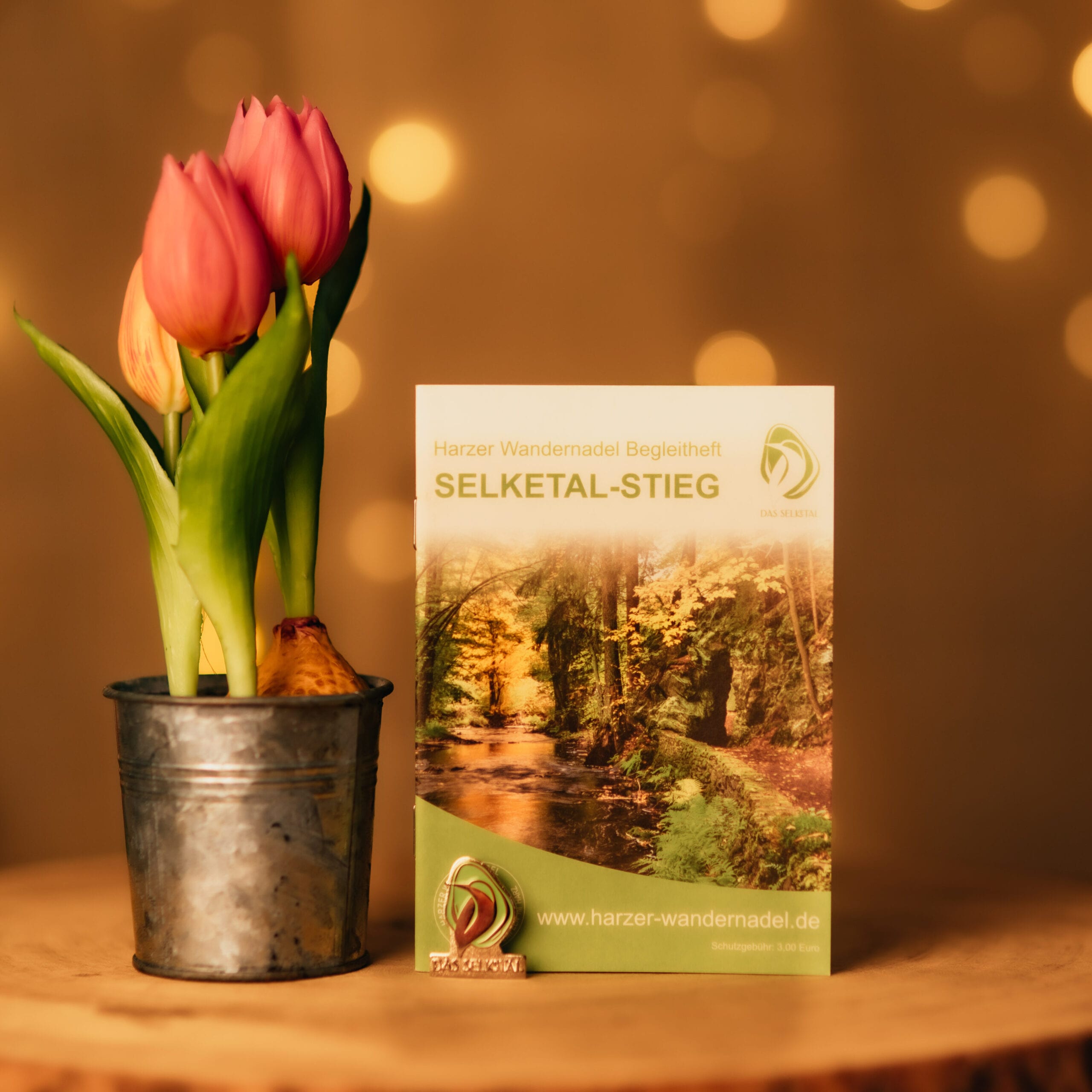 Boekje Selketal-Stieg naast tulpen in een pot