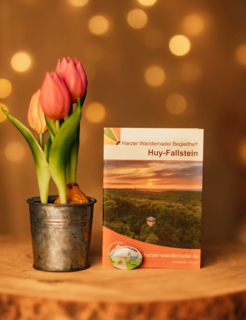 Tulipes avec carnet de randonnée Huy-Fallstein sur table en bois