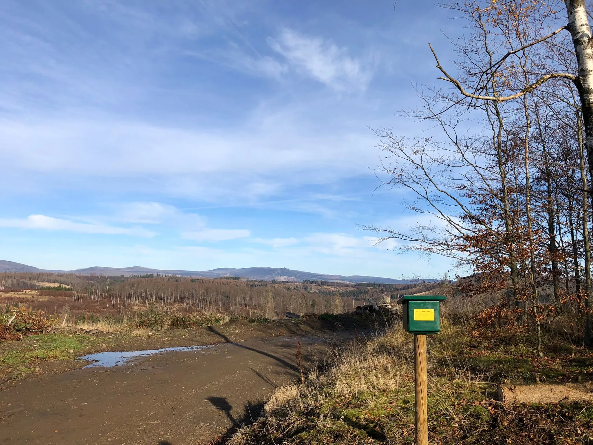 Waldweg mit Aussicht auf Hügel und blauen Himmel