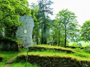Castle ruins in the forest with green nature