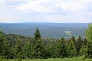 Far-reaching view over green coniferous forest in the low mountain range