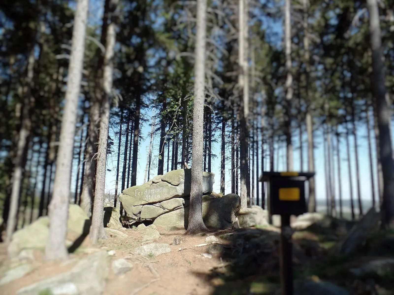 Felsen im Wald mit Inschrift Ferdinandsstein