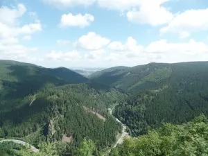 Weitläufige grüne Wälder in bergiger Landschaft