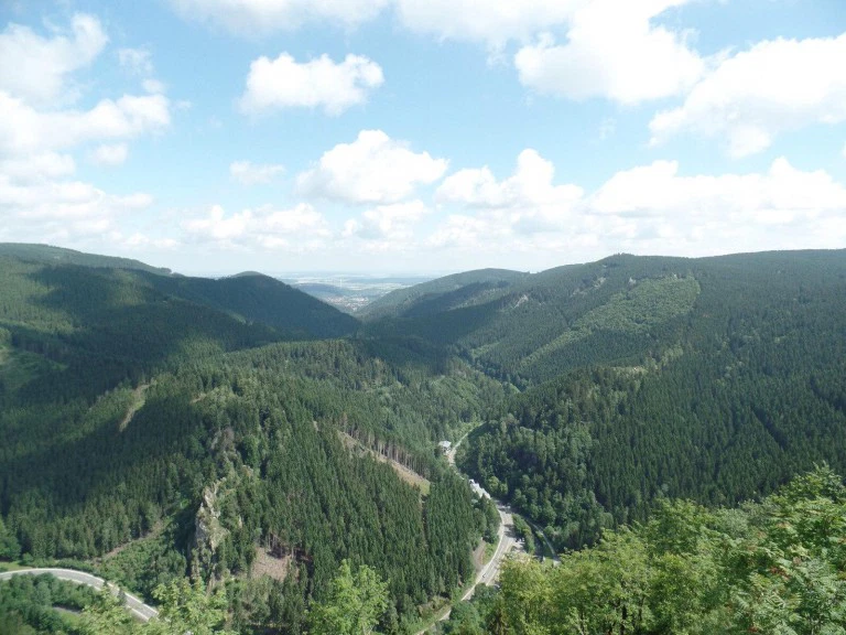 Weitläufige grüne Wälder in bergiger Landschaft