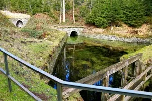 Historischer Tunnel mit Wassergraben im Wald