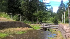 Holzbrücke über kleinen Bach im Wald