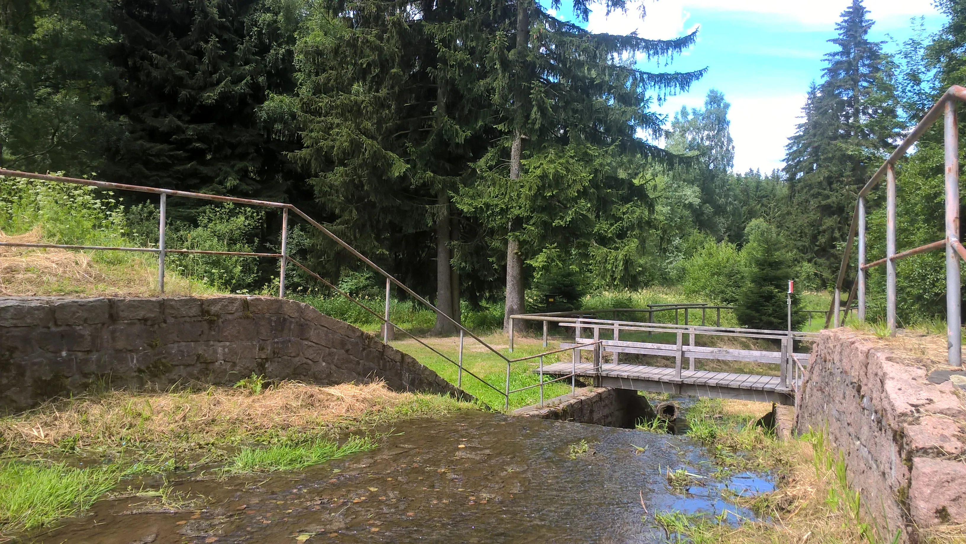 Holzbrücke über kleinen Bach im Wald