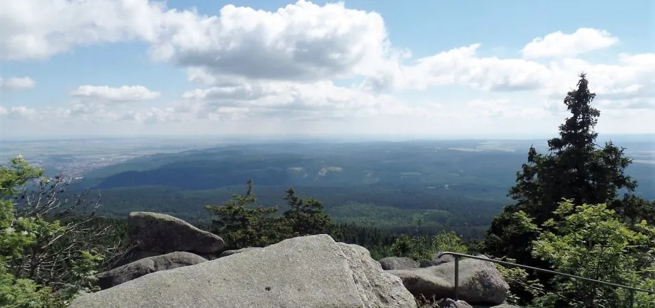 Aussicht vom Brocken über den Harz Wald