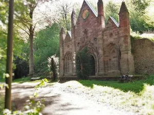 Medieval castle ruins in the forest