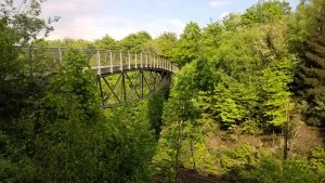 Pedestrian bridge over green forest landscape