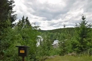 Aussicht auf Waldsee mit Staumauer