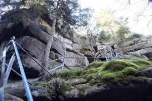 Felsentreppe im Wald mit Moos und Geländer