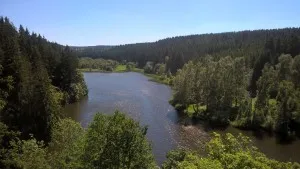 River in the forest under a blue sky