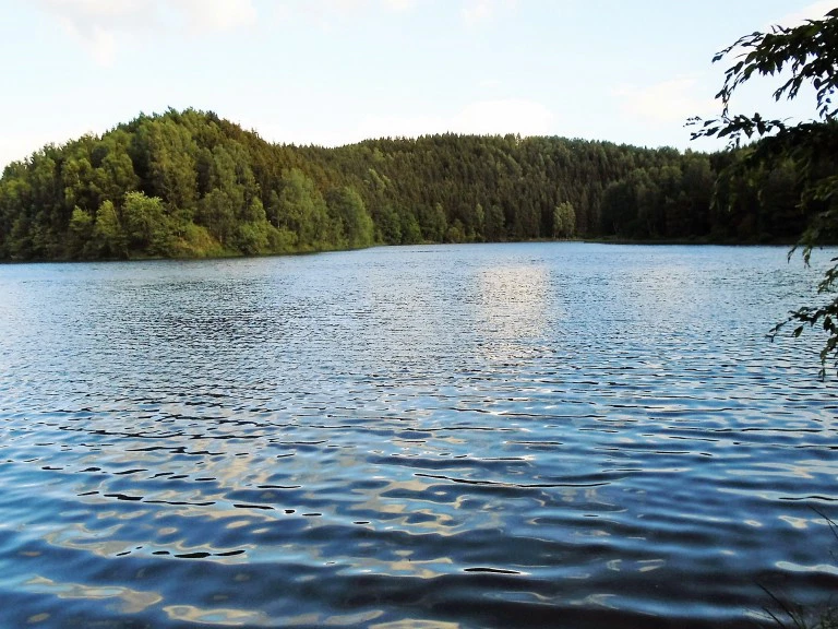 Ruhiger See umgeben von grünem Wald