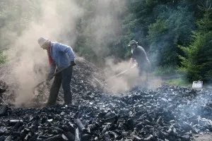 Workers shovel dusty charcoal outdoors