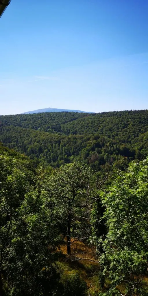 Grüne Waldlandschaft mit Hügeln unter blauem Himmel