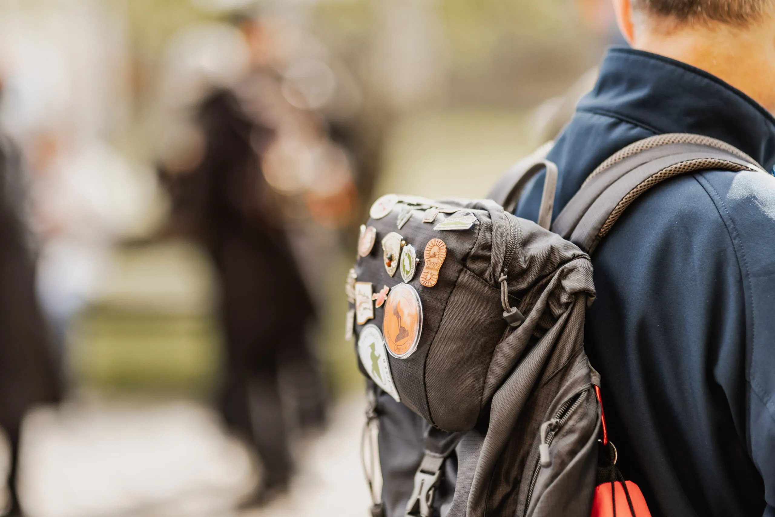 Rucksack mit bunten Ansteckern der Harzer Wandernadel