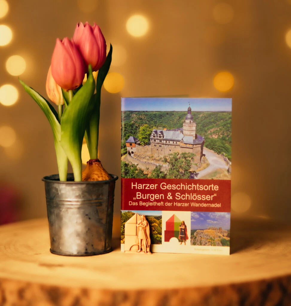 Harz travel guide with tulips in a pot on the table
