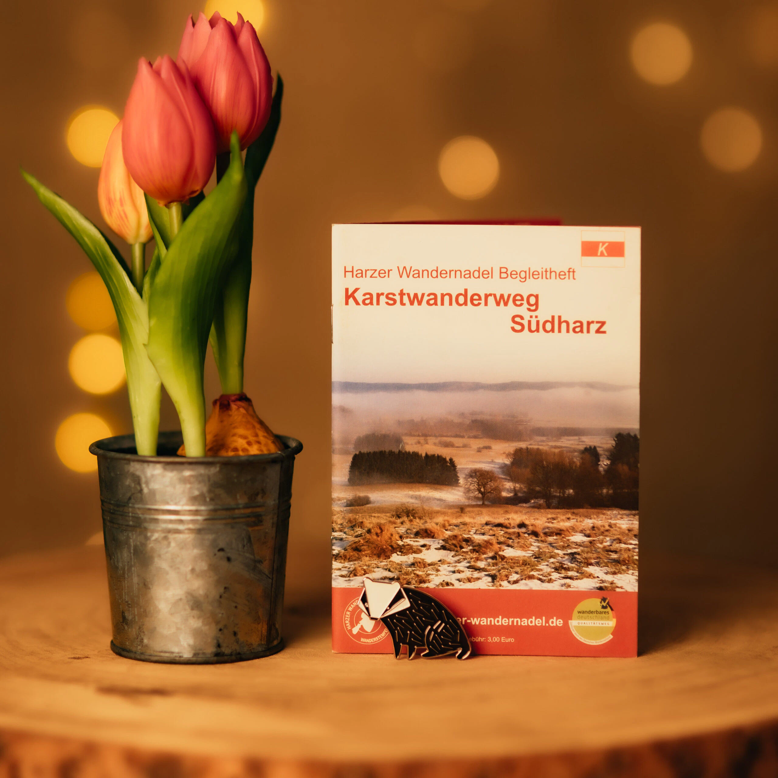 Tulips and hiking booklet Karstwanderweg Südharz on the table