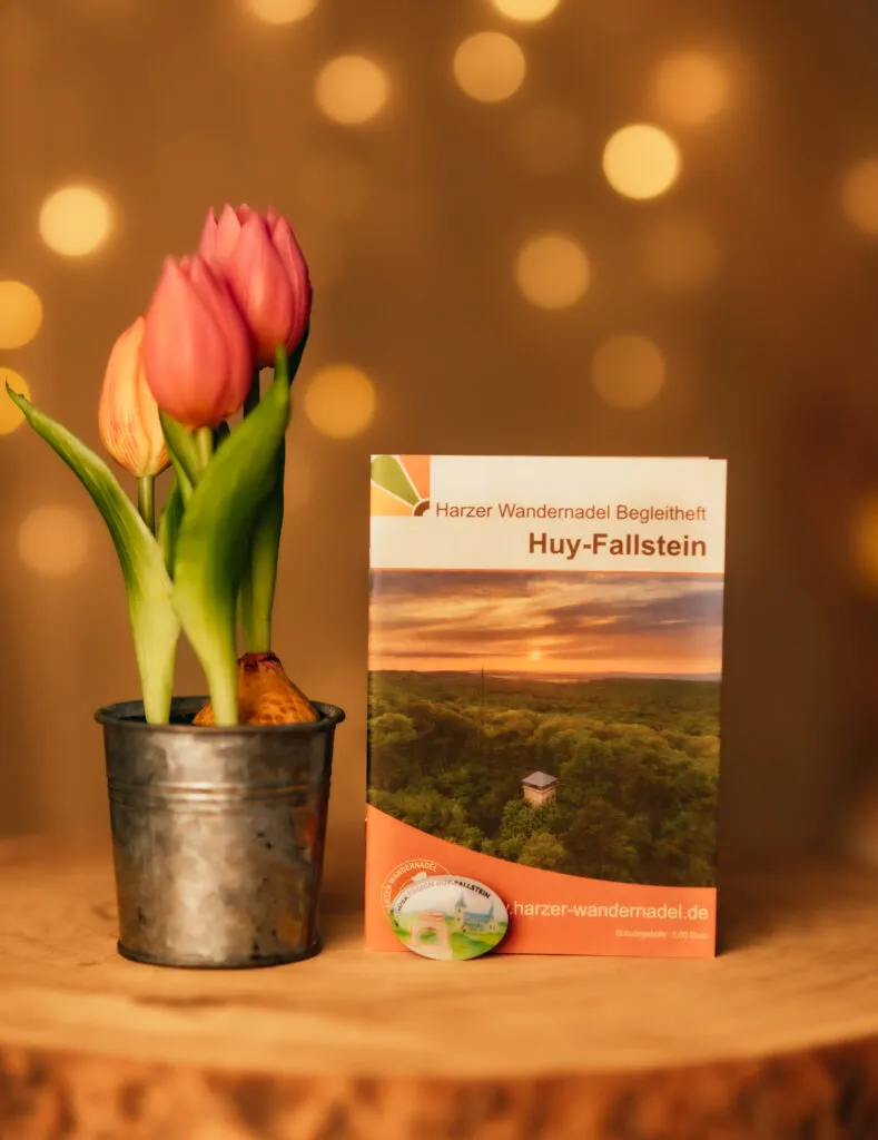 Tulpen mit Wanderheft Huy-Fallstein auf Holztisch