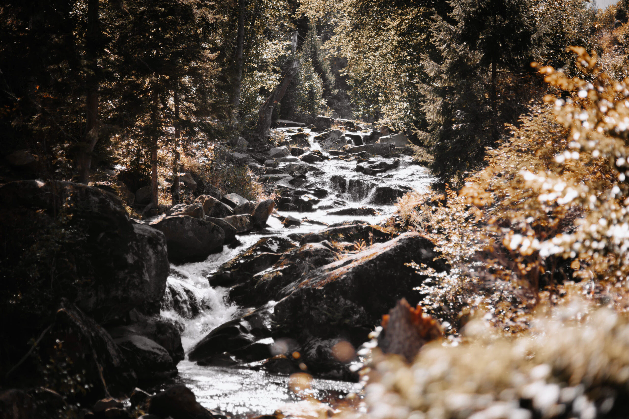 Mountain stream flows through autumnal forest with rocks