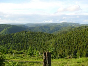Grüne Wälder und Hügel im Thüringer Wald
