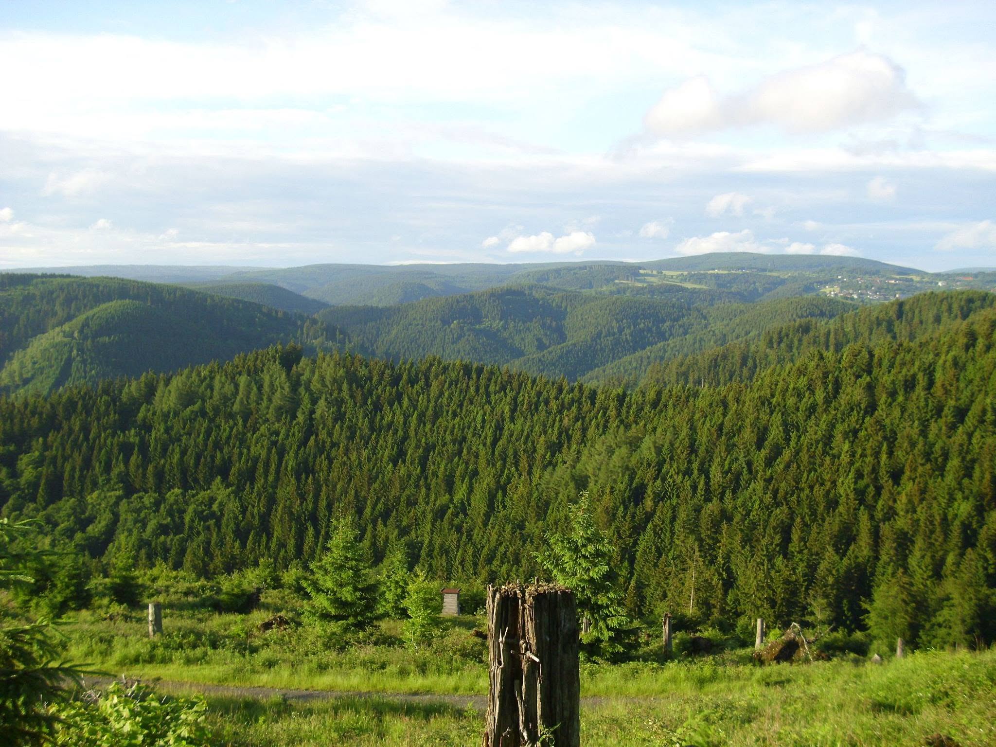 Green forests and hills in the Thuringian Forest