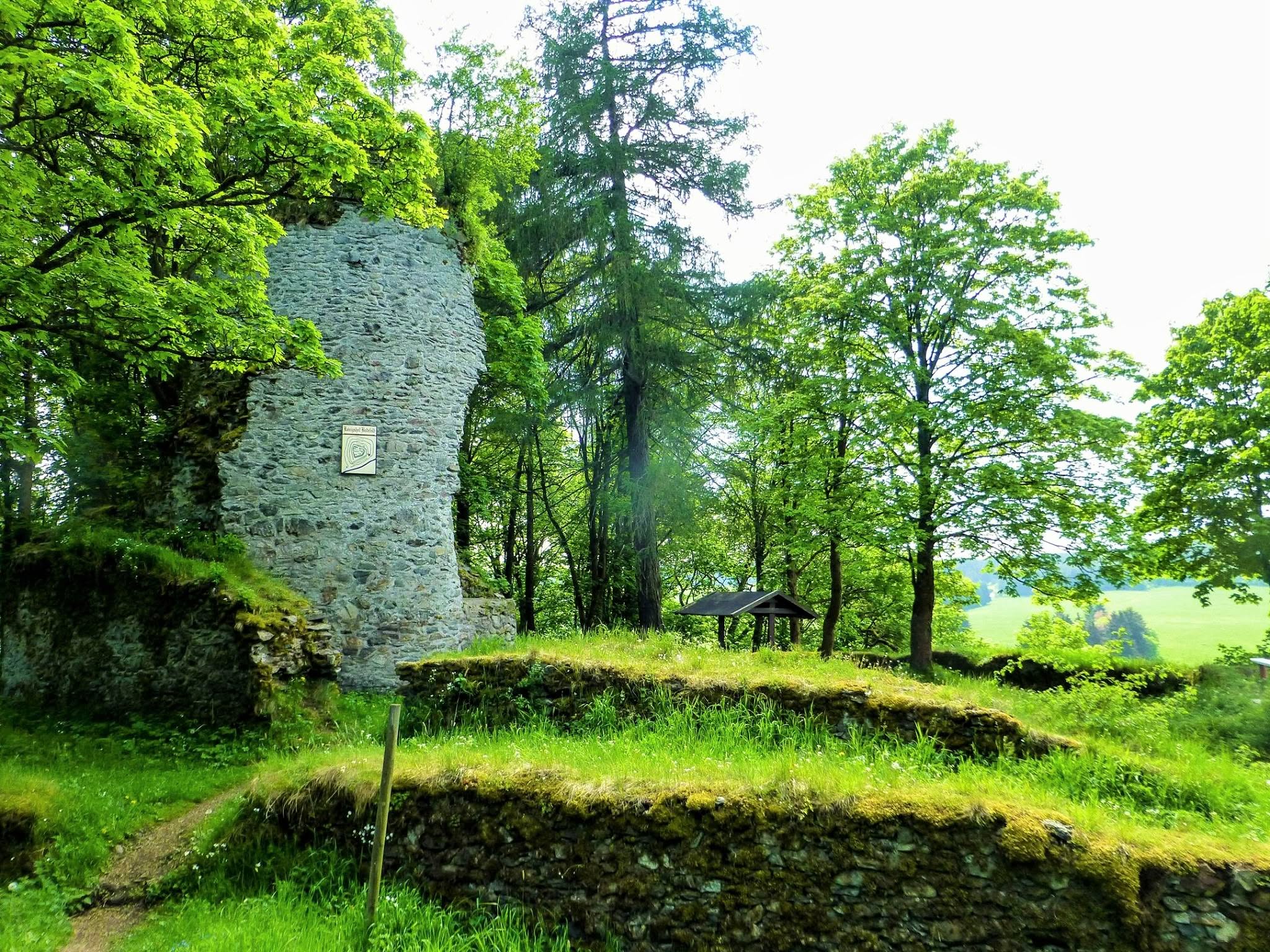 Ruines de château dans la forêt avec une nature verdoyante