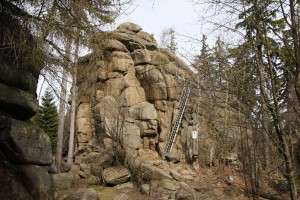 Felsformation mit Leiter im Wald