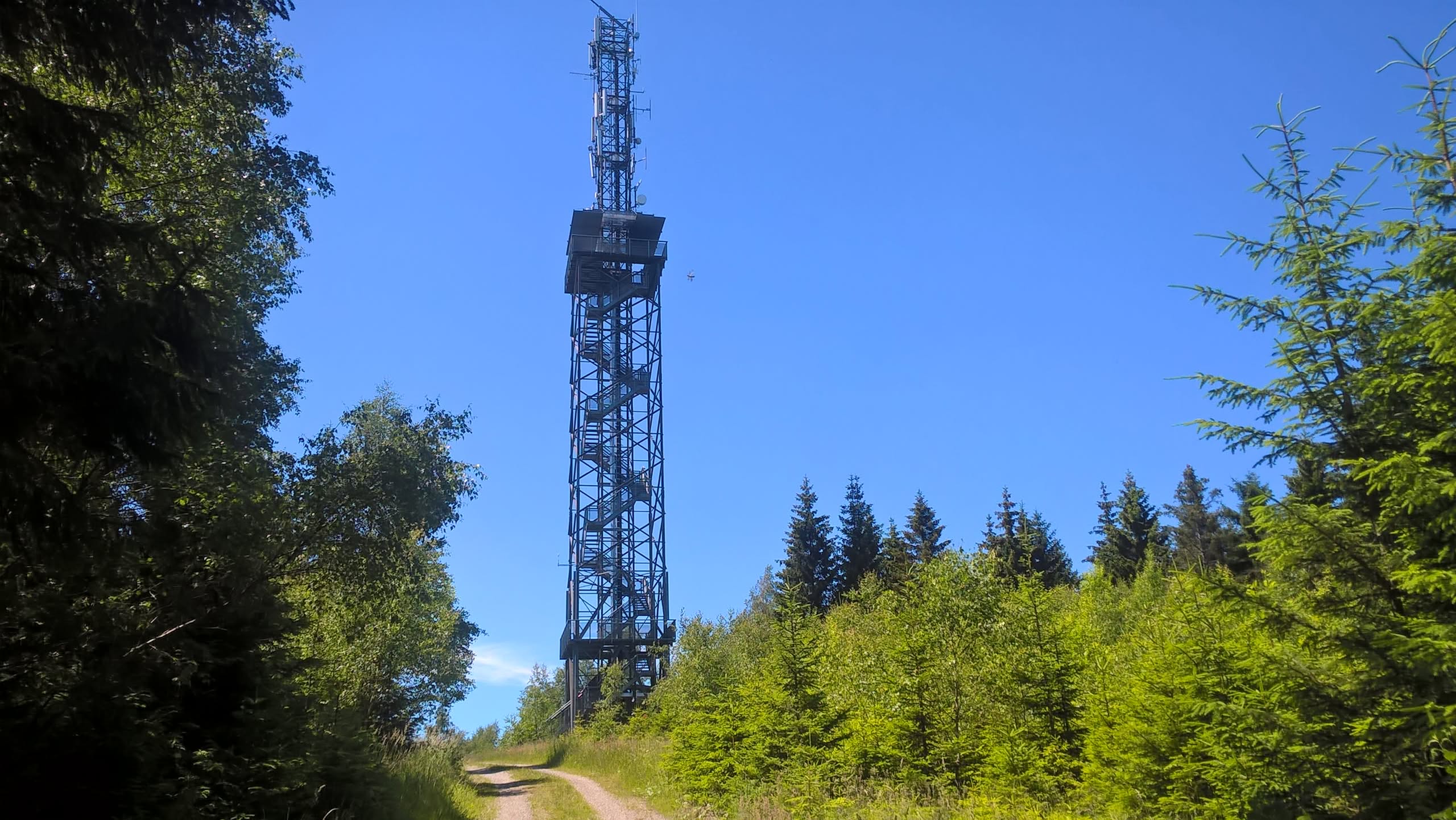 Radiomast i skoven under en blå himmel
