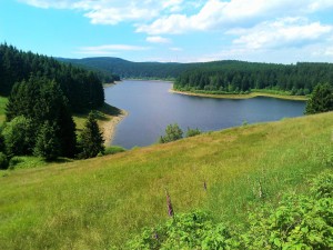 Stausee im Grünen mit umliegendem Wald