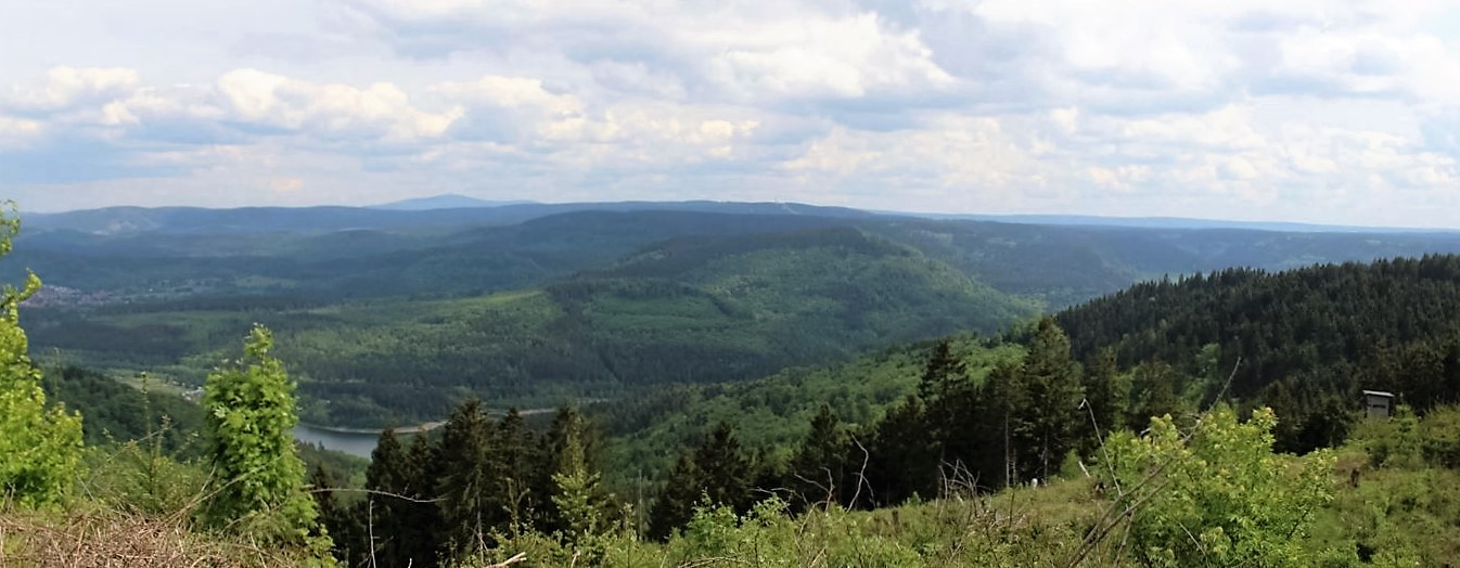 Panorama van groene bossen en bergen onder een bewolkte hemel