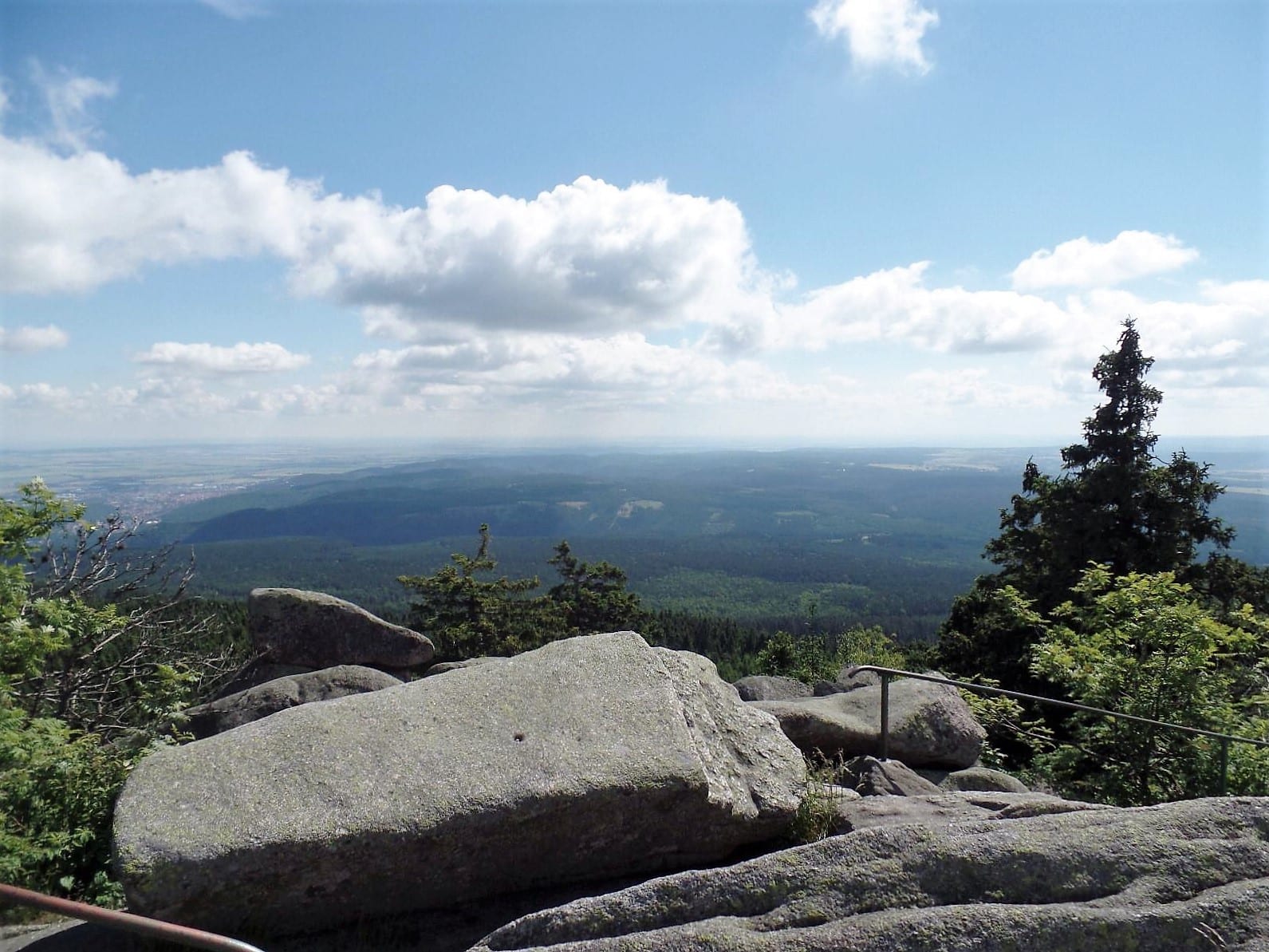 Vue depuis le Brocken sur la forêt du Harz