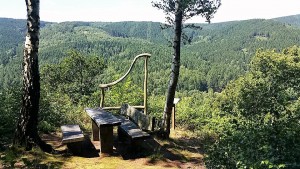 Aussichtsplatz mit Holzbänken im grünen Waldgebirge