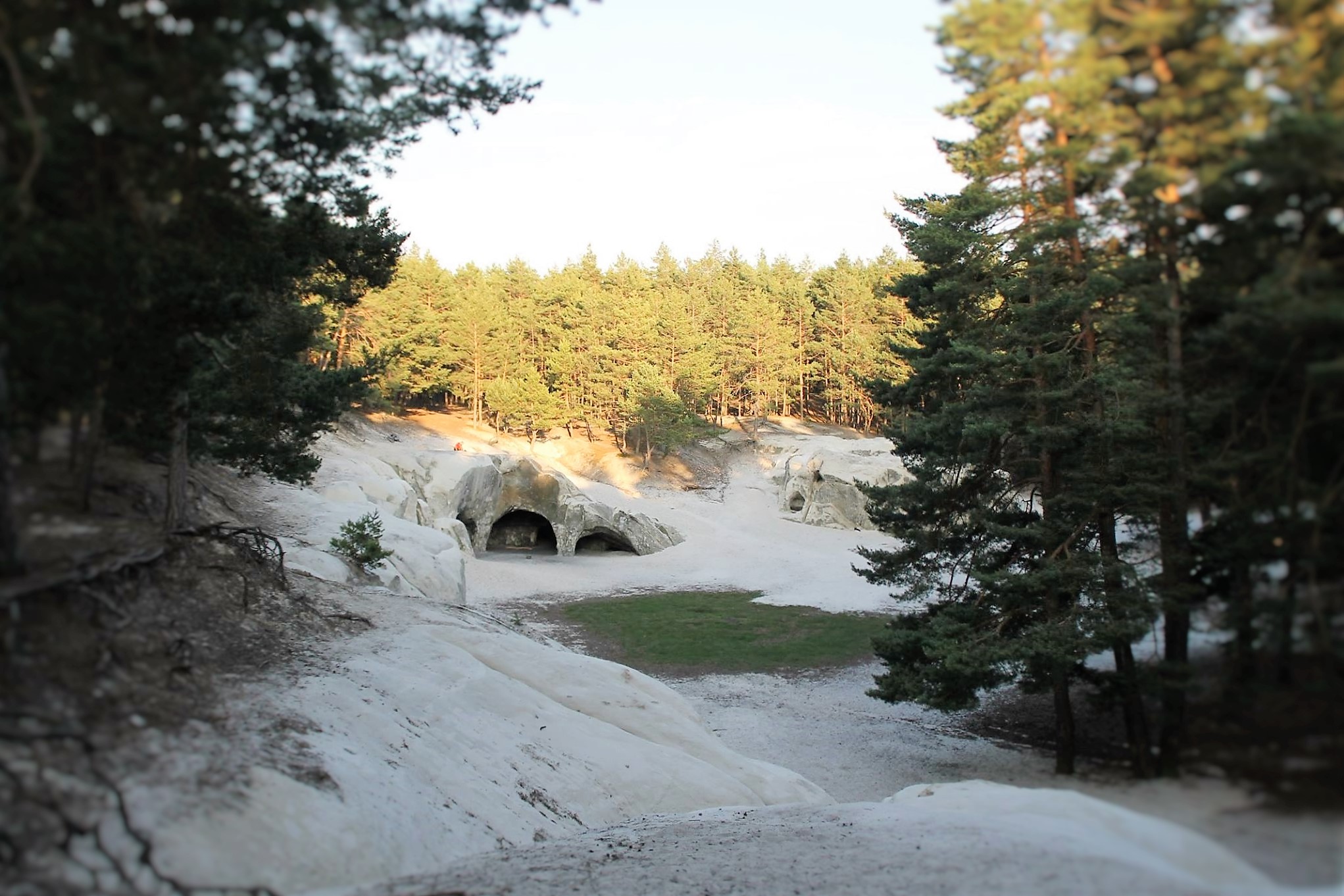Sandsteinhöhlen im Wald bei Sonnenuntergang
