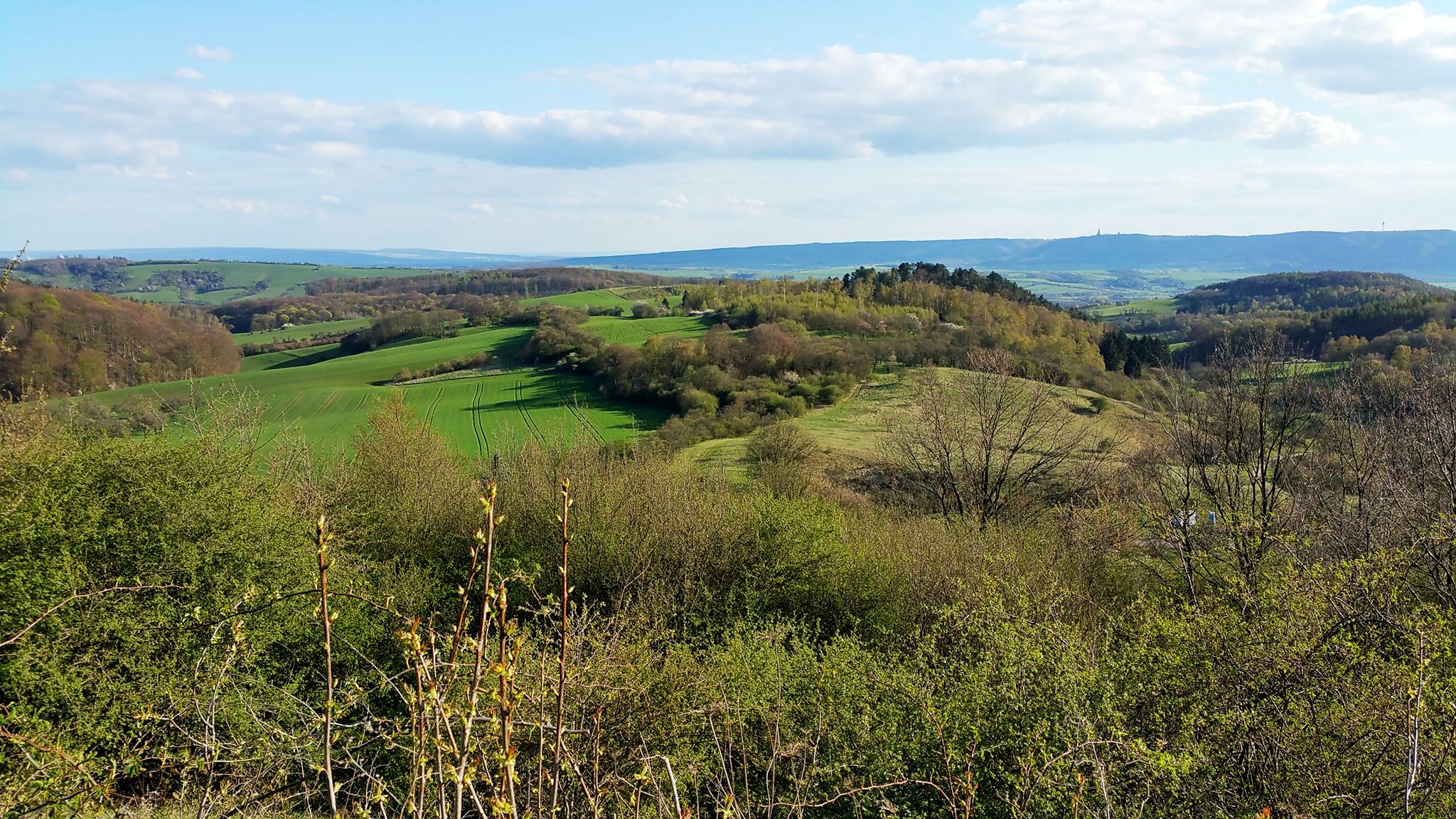 Groene heuvels met velden en bos onder een blauwe hemel
