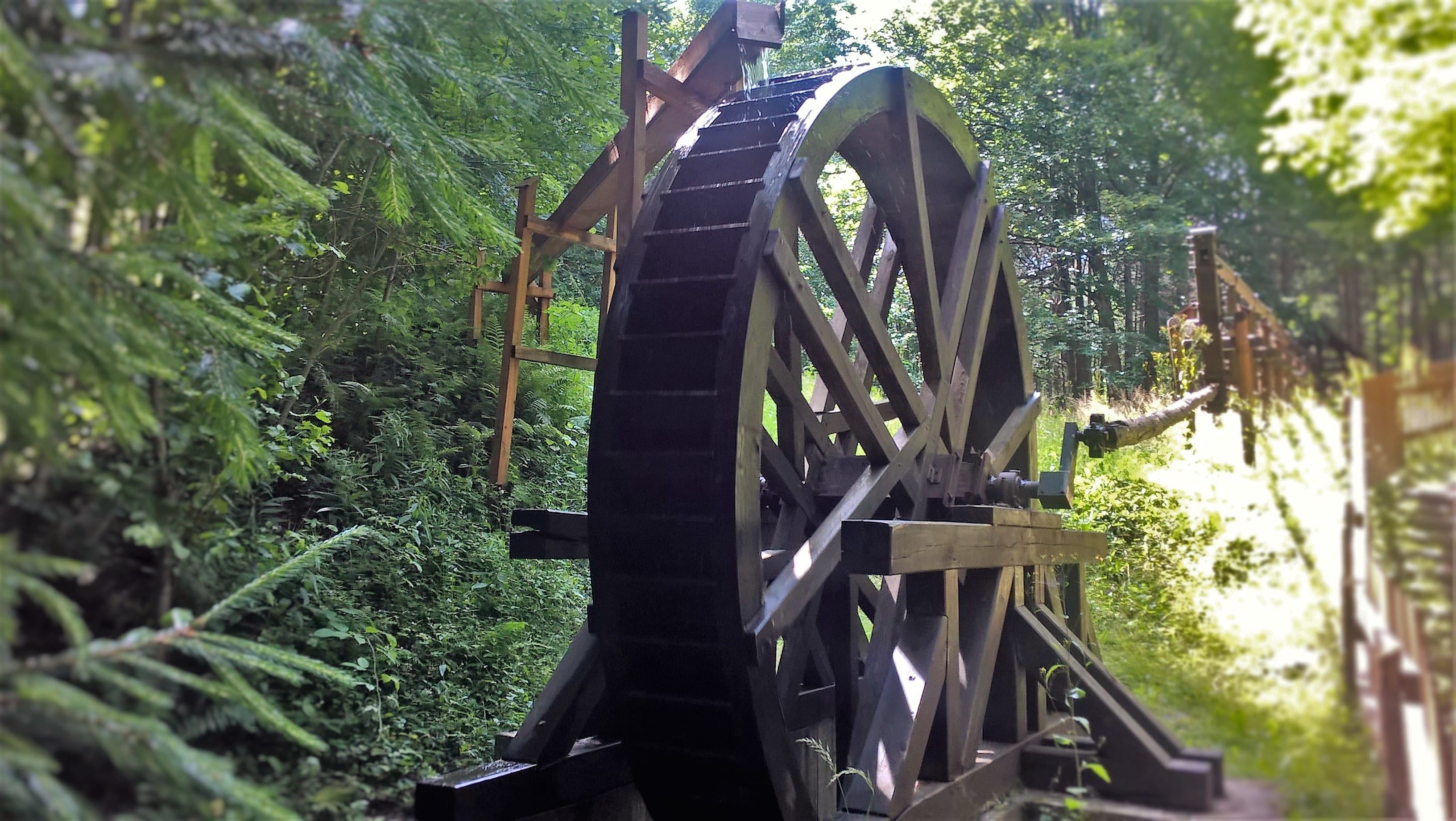 Altes hölzernes Wasserrad im Wald