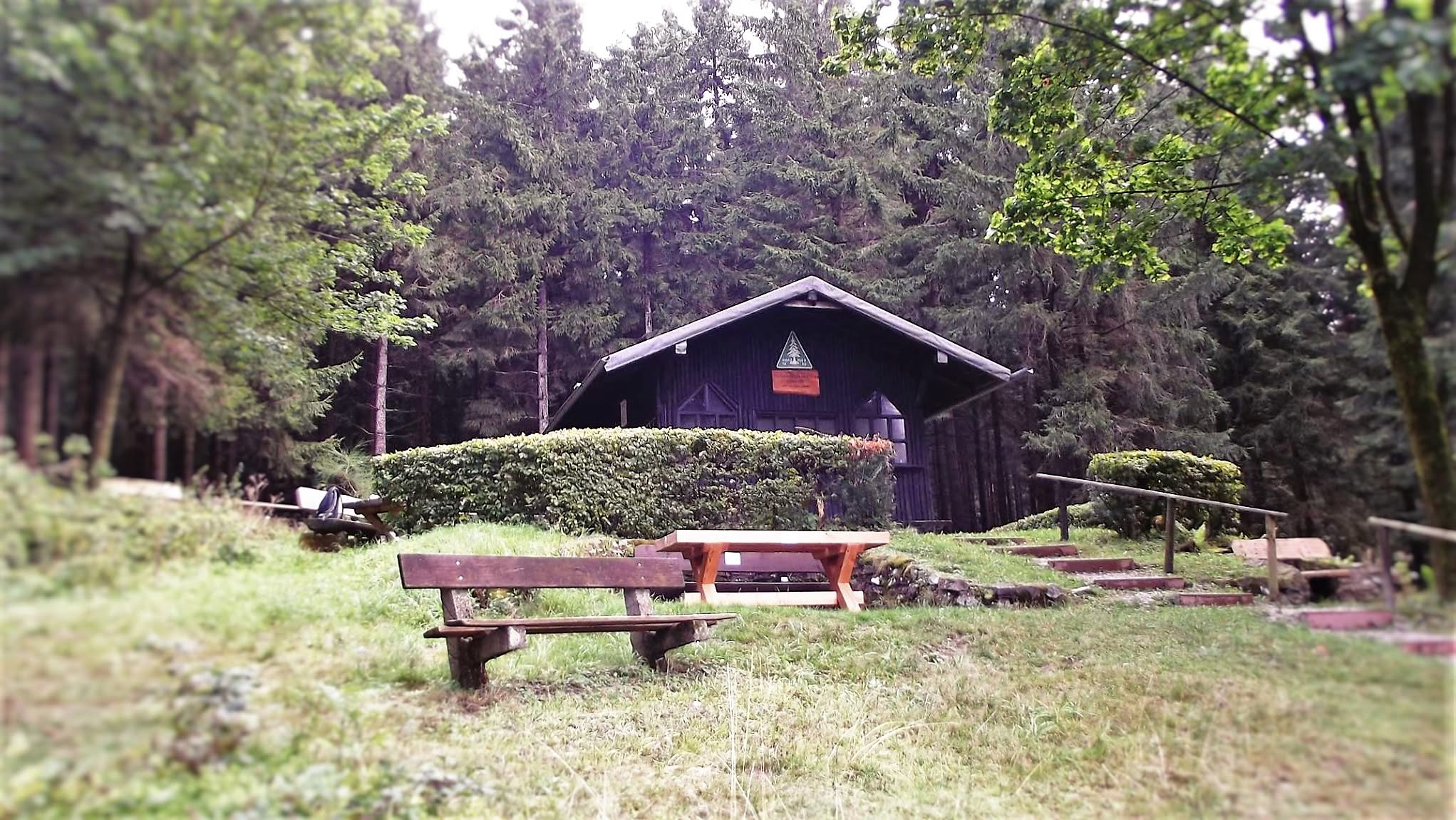 Cabane confortable dans la forêt avec des bancs et des tables