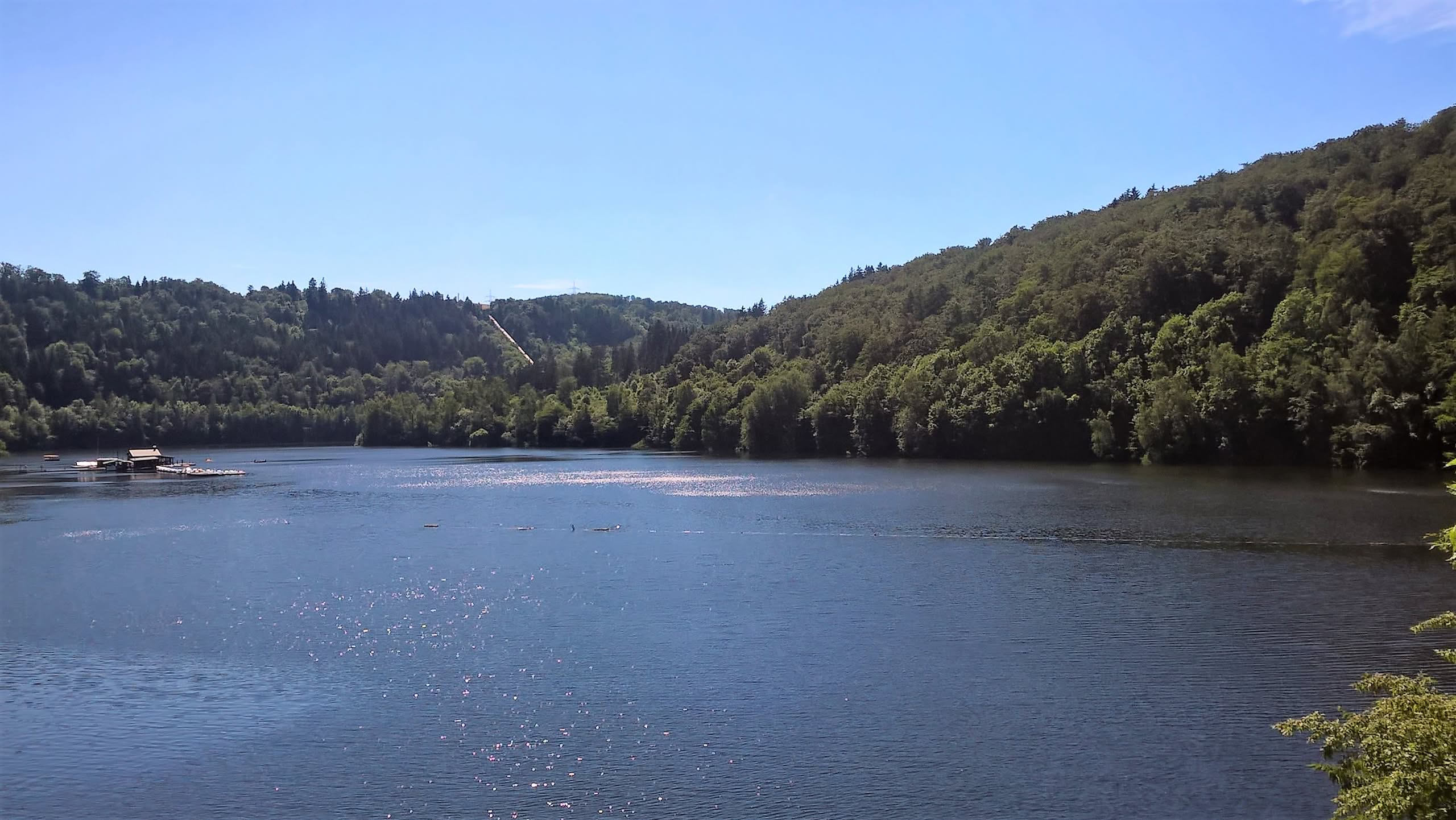 Lac bleu entouré de forêts vertes